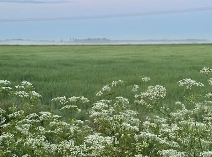 아파트 Peltovilla