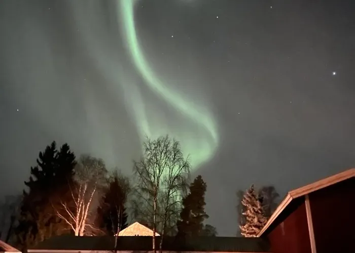 Peltovilla * Tornava